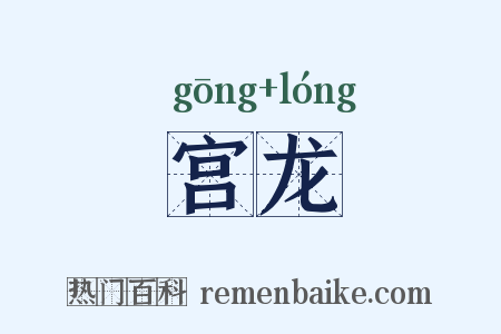 宫龙是什么意思的图片